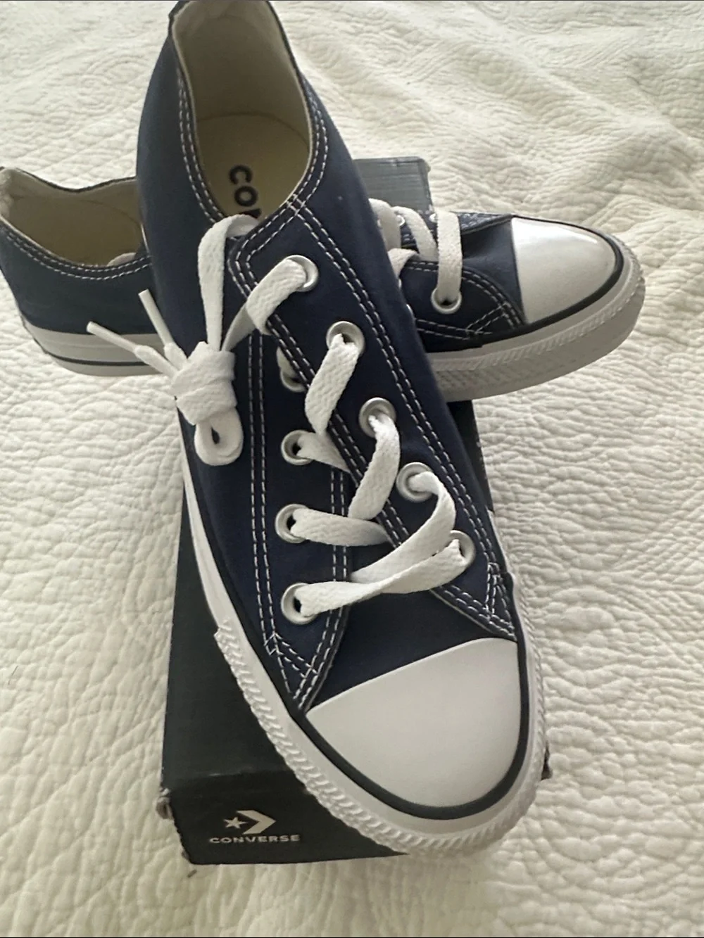 Converse Navy and White Low-Top Canvas Sneakers
